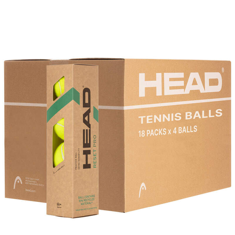 4B HEAD RESET PRO - 6DZ